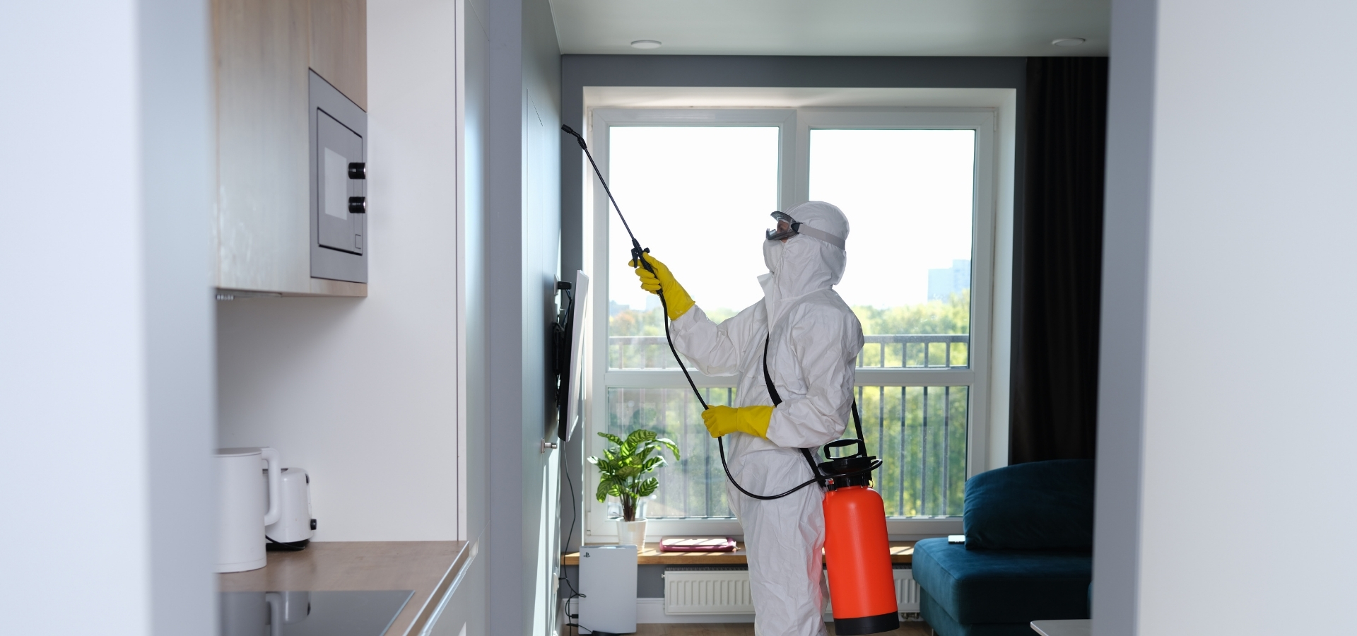 Planes Personalizados